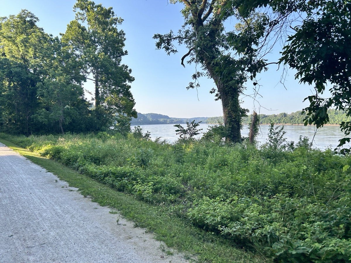 The Missouri River open beyond the trail edge