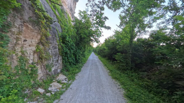 Limestone bluff wall rising at the edge of the trail